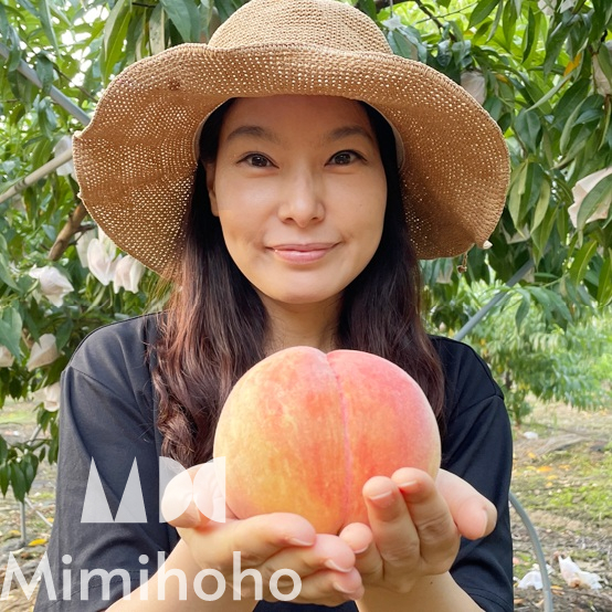 조치원 복숭아 품종 캘린더, 미미호호&nbsp;택배
